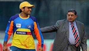 N Srinivasan admits shielding MS Dhoni in 2012, here's what BCCI former president revealed