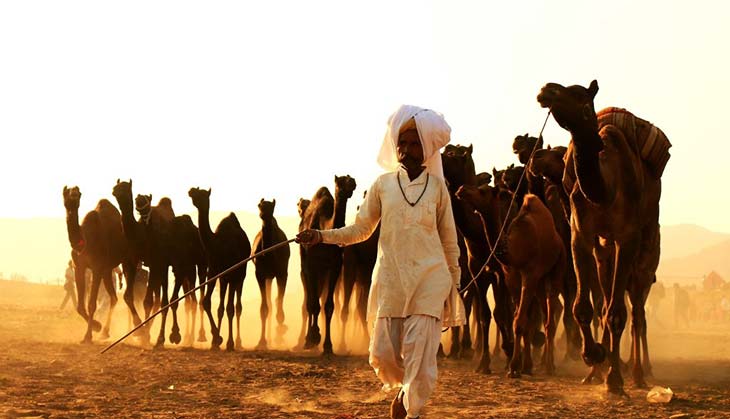 Here are some vibrant images from Rajasthan’s famed Pushkar Mela 2017