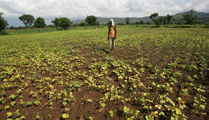 Madhya Pradesh farmers not getting minimum MSP, some mandis shut in protest