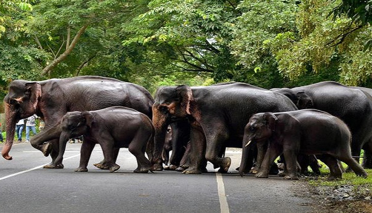 10 tours that will make a photographer out of you