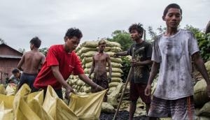Burning down the house: Myanmar’s destructive charcoal trade