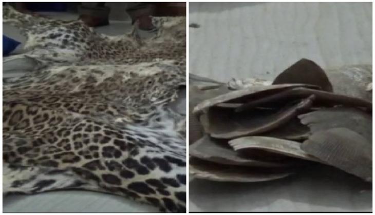 Leopard skin, pangolin scale seiezed in Bandipora, two arrested