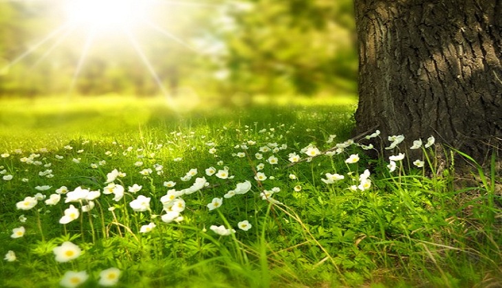 Does nature make us happy? This is waht science says 