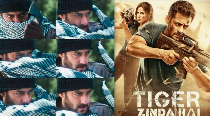 Did you know? The story of Salman Khan - Katrina Kaif's Tiger Zinda Hai is similar to this Malayalam superstar film