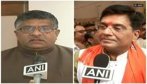 BJP advises Rahul to stop lying and daydreaming