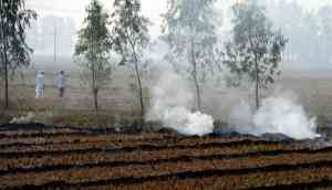 Stubble management: It's time the governments move from ceremonial advice to mission-mode