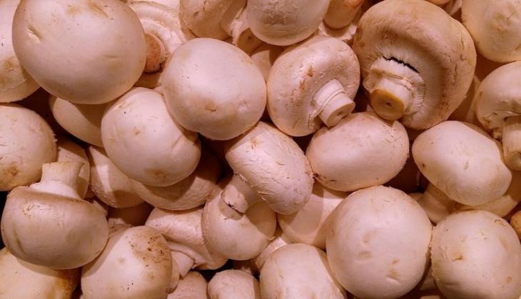 Did you know mushrooms may have anti aging potential?