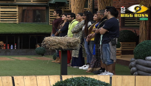 Bigg Boss 11: The new captain of the house revealed