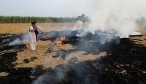 Delhi smog: Don’t blame farmers, these simple policies can prevent stubble burning