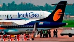 Wild boar hits Indigo flight during take-off, Airline issues statement