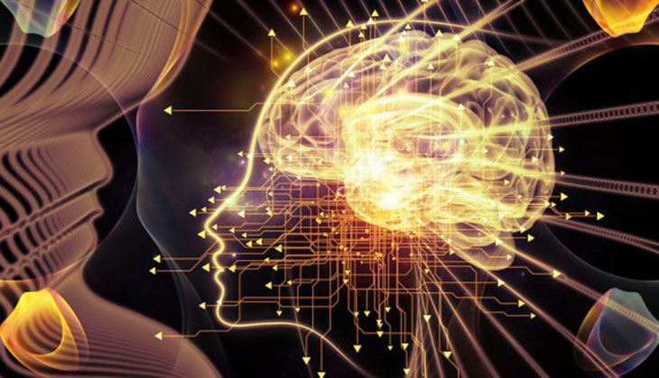 What if consciousness is not what drives the human mind?