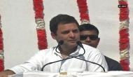 Gujarat: Rahul Gandhi vows to set up separate ministry for fisheries 