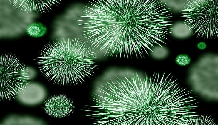 Turning bacteria into 'world's smallest tape recorders'