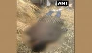 Jammu and Kashmir: Bullet- ridden body of missing Army jawan found in Shopian