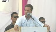 PM Modi finalised Rafale deal on his own, says Rahul Gandhi