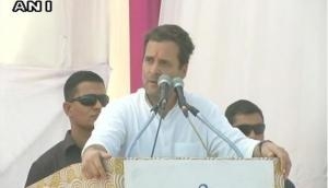 Rahul Gandhi cannot see development in Gujarat: BJP
