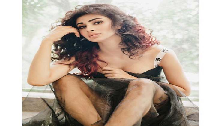Mouni Roy wishes her 'Naagin 2' co-star Aashka Goradia in the most adorable way!