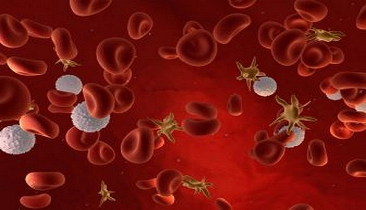 Study shows how transport protein helps maintain amount of fat in blood