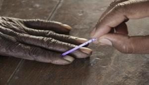 Kerala Local Body polls: Voting for 2nd phase underway in five districts