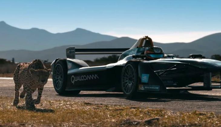 World's fastest creature goes head to head with Super Fast Car: Who won?