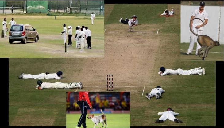 Cricket Match Stopped