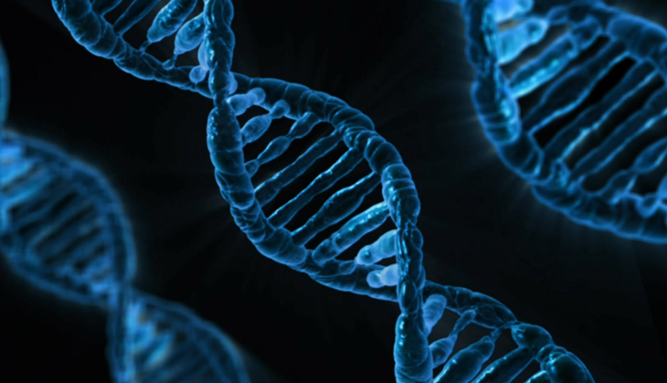 You've got your DNA kit: Now what can you do with it?