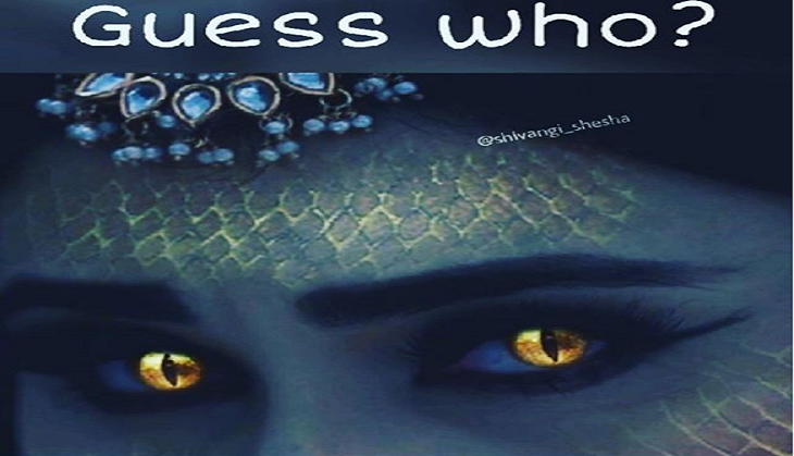 Naagin 3: After Mouni Roy, Adaa Khan quit these popular actresses finalized to play the role of 'ichhadari naagins'
