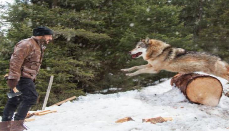 Here's how 'Tiger' Salman Khan hunts for wolves in new still