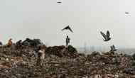 The Wasteland: Does Delhi have a way out of its garbage crisis 