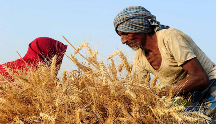 Unsustainable agriculture: Why Modi’s promise to double farmer income by 2022 is a mirage