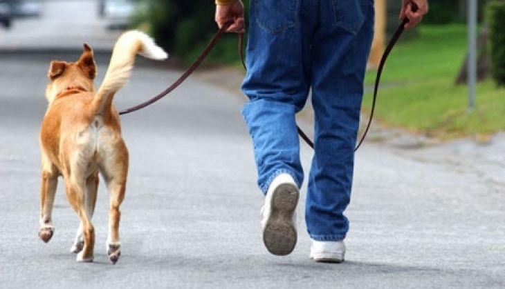 Walking dog