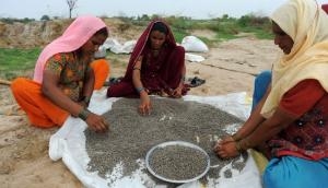 Farm crisis & demonetisation: Why BJP got a thrashing in rural Gujarat