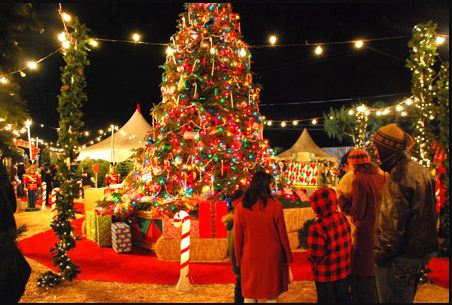 Merry Christmas 2020: Wishes, quotes, messages for your loved ones