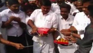 RK Nagar: Dhinakaran supporters celebrate after early trends