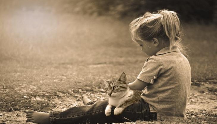 Childhood lead exposure not linked to criminal behaviour in adulthood
