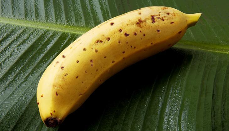 Mongee Banana