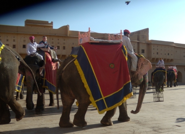Year-end tourism: Rajasthan's Big Haul