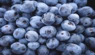 Eating blueberries every day good for heart