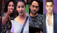 Bigg Boss 11: Fans of the contestants get ready to vote for them at the mall; see videos