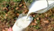 Can cow's milk prevent type 1 diabetes?
