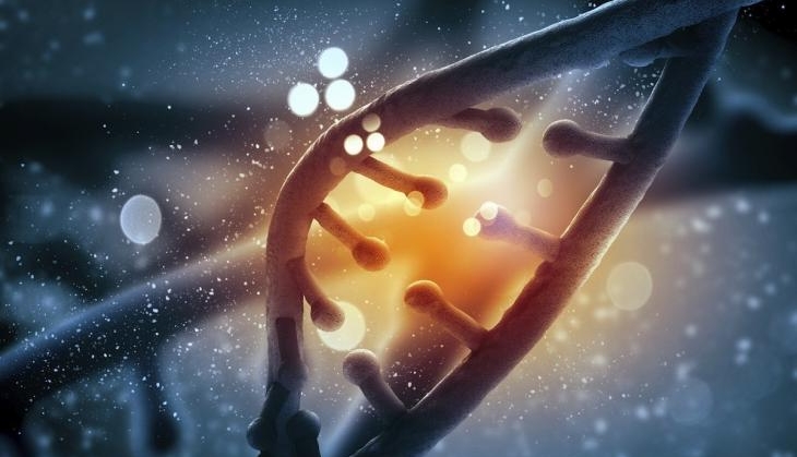 Columbia University Scientists Discover Secrets of Always Staying Young