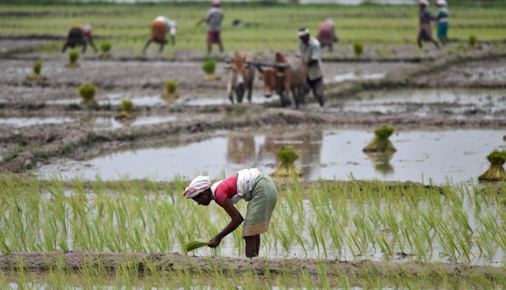 Modi govt hikes MSP for Kharif crops. But this is unlikely to help farmers 