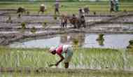 Can Madhya Pradesh's scheme for farmers save BJP from their ire?