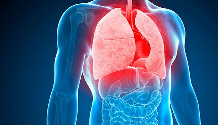 Vitamin C increases effect of TB drugs, says Study