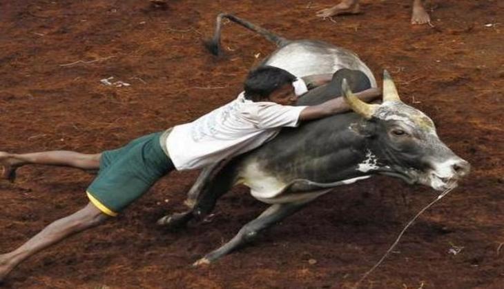 AIADMK legislator inaugurates Jallikattu in Palamedu