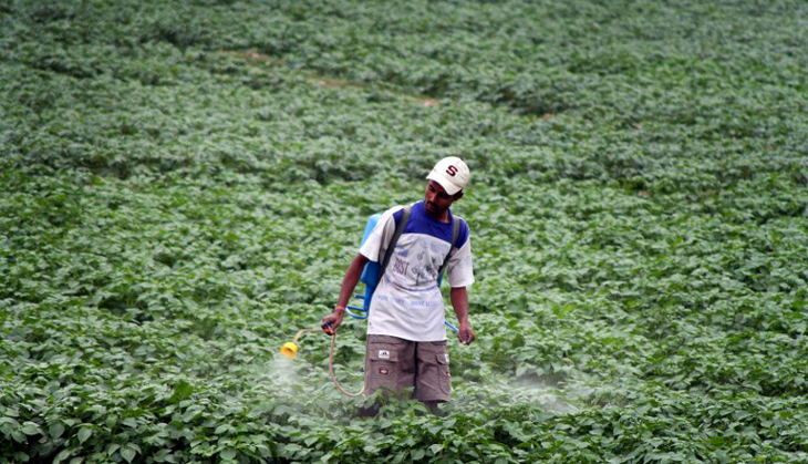A pest gene can help fight pesticide contamination in environment: Study 