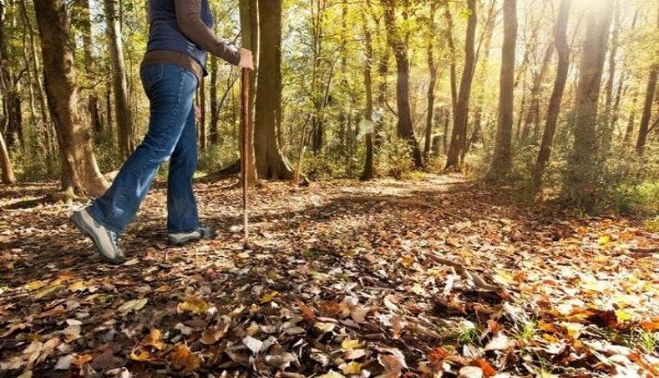 Study provides insights on links between nature and mental wellbeing