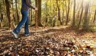 Study provides insights on links between nature and mental wellbeing