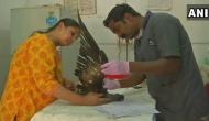 Kite festival: Gujarat government starts first-aid initiative for injured birds