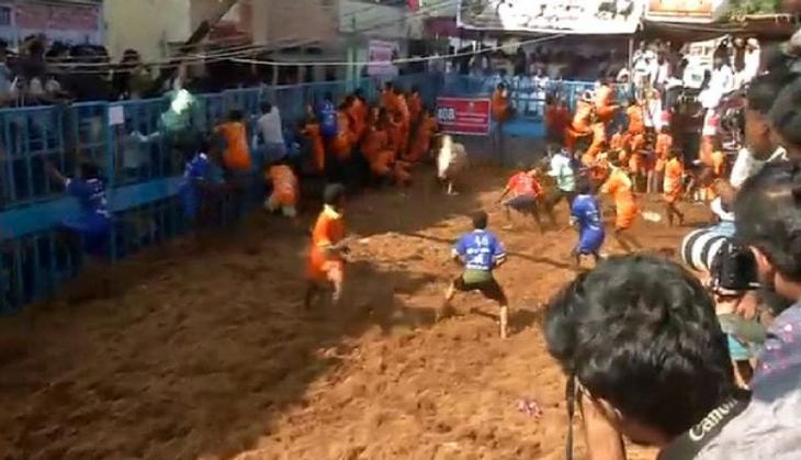 Tamil Nadu: Govt gives nod to hold Jallikattu, Covid negative report mandatory for players